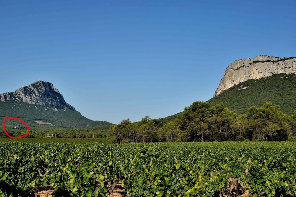 Gite Du Pic Saint Loup Valflaunes Exterior photo